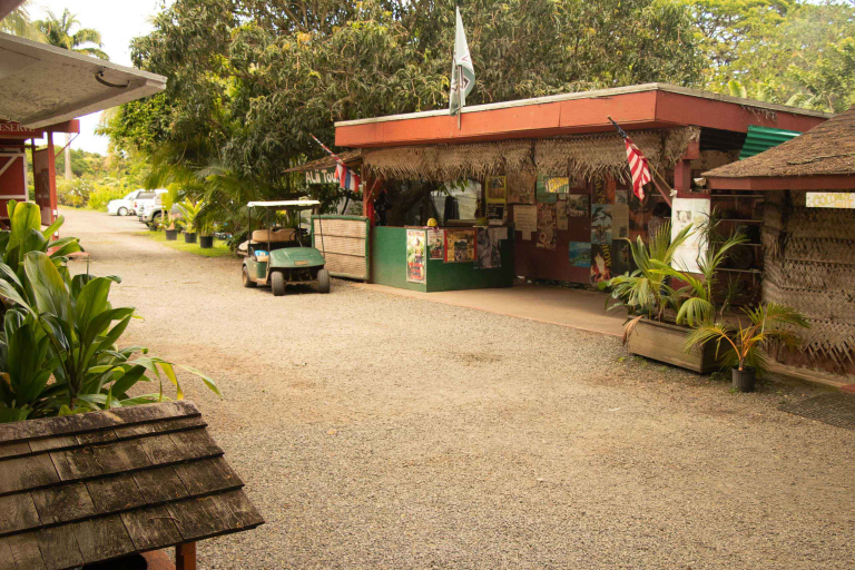 culture coffee macadamia nut farm tour