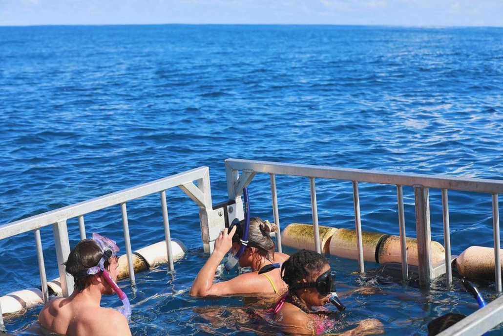 haleiwasharktours oahu shark cage snorkel ride along with friends
