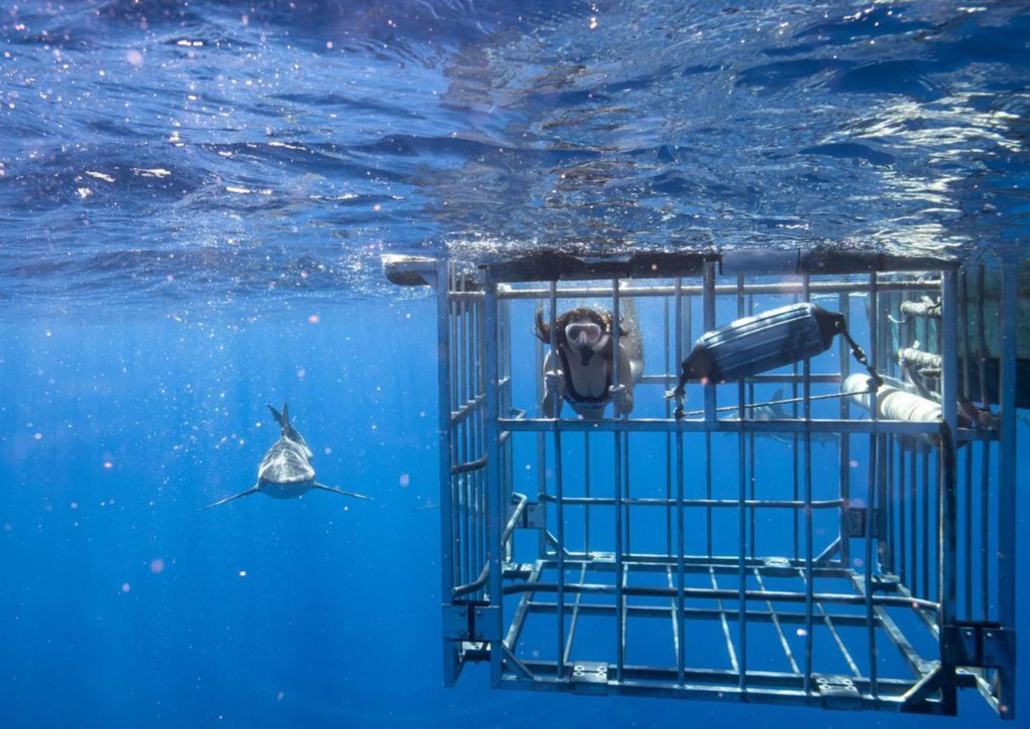 haleiwasharktours oahu shark cage snorkel slide woman in cage