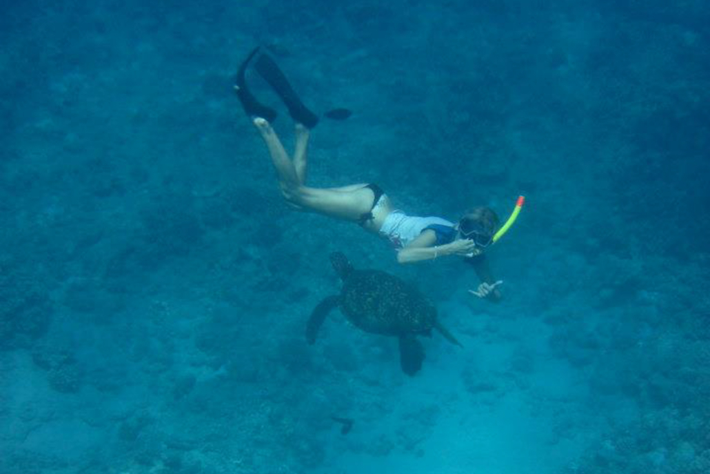 hawaiinautical turtle canyon snorkel expedition snorkeling