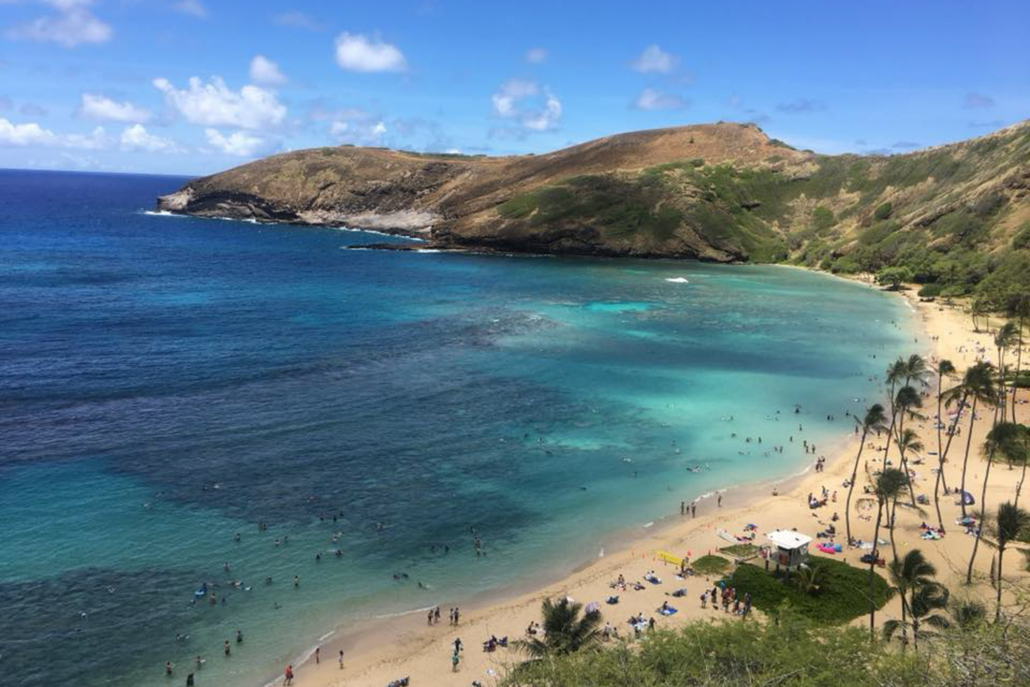 Hanauma Bay Shuttle And Snorkel Tour