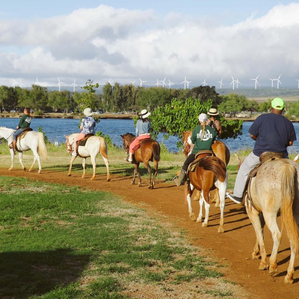North Shore's Coastal Equestrian Journey