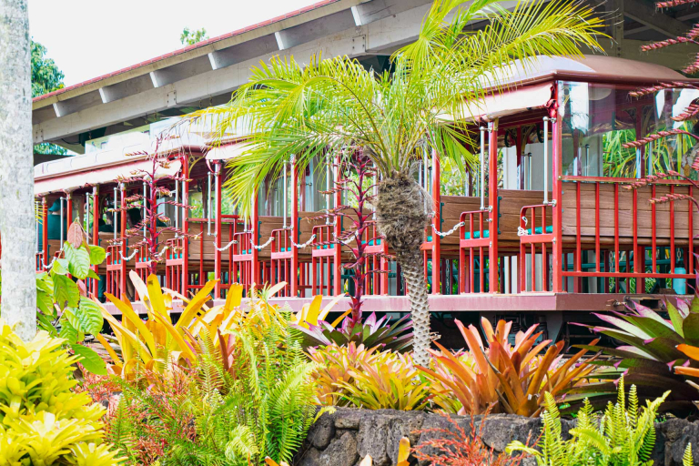 pineapple express train at dole plantation in oahu hawaii