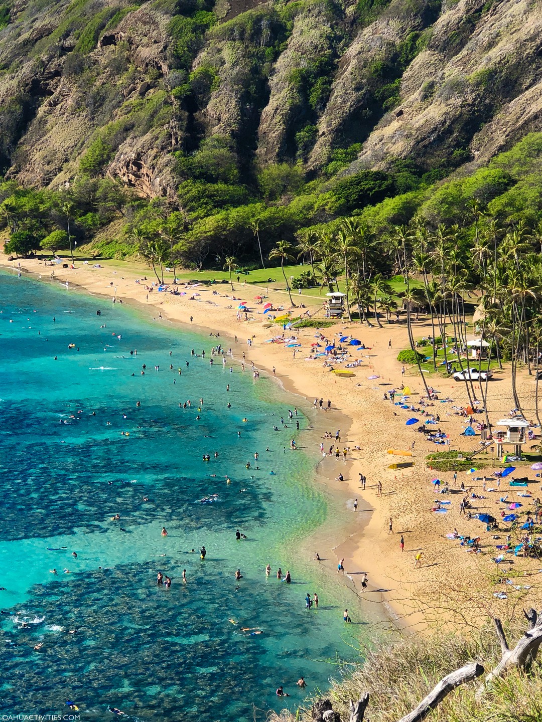 Hanauma Bay Snorkeling Hours Oahu Activities