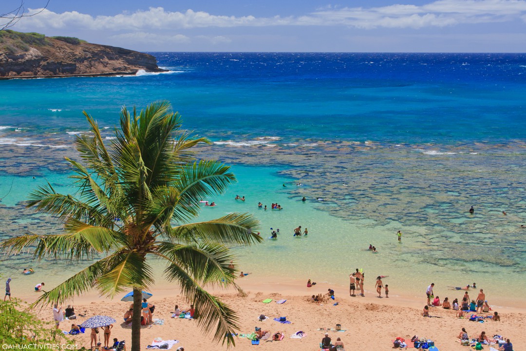 Hanauma Bay Snorkeling Hours Oahu Activities