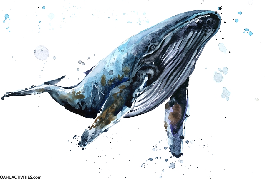 honolulu art museum whale painting