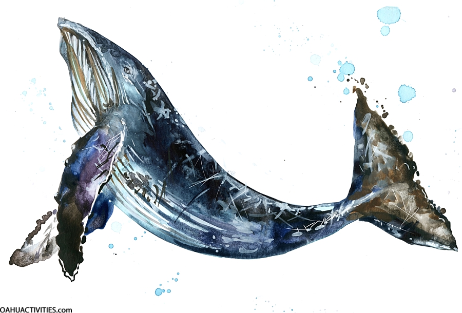 honolulu art museum whale watercolor