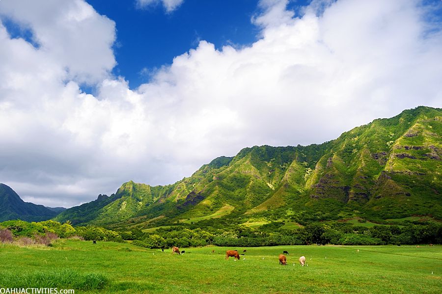 kualoa ranch big valley