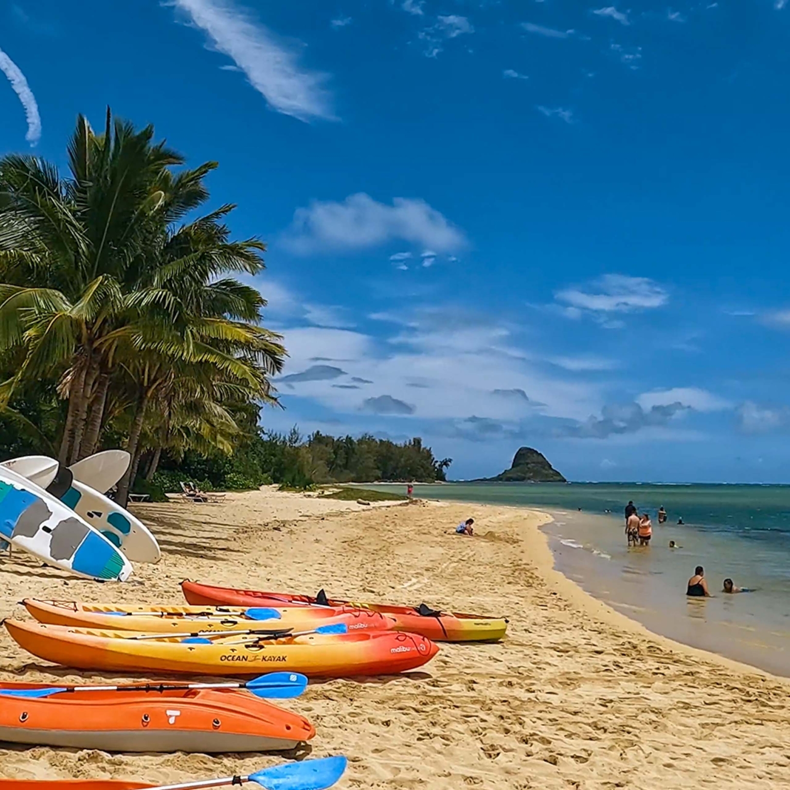Unlock Craigslist S Hidden Oahu Room Rental Gems - qjfdh95