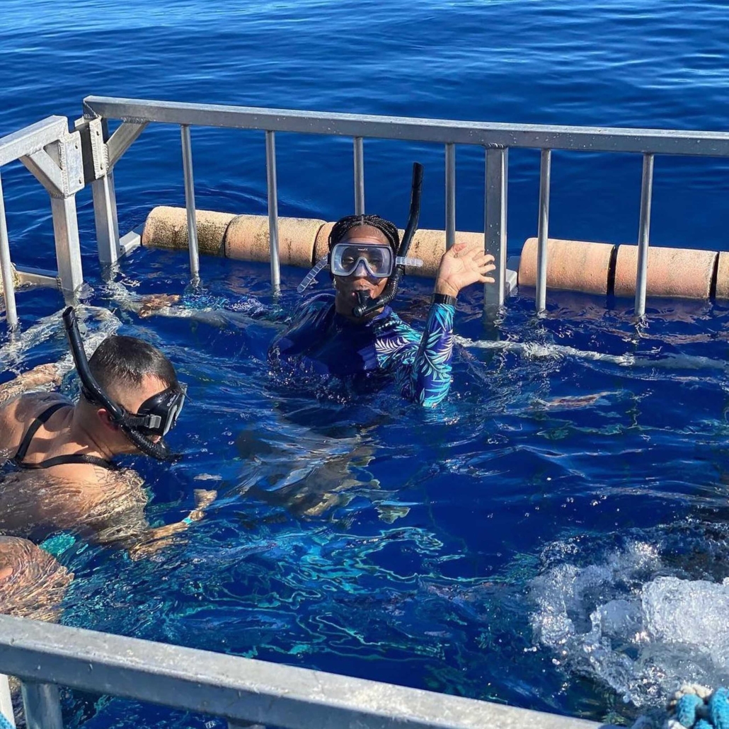 hawaiisharkencounters north shore shark dive tour cage