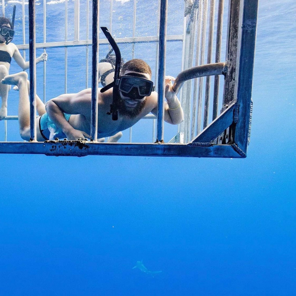 hawaiisharkencounters north shore shark dive tour guest in cage