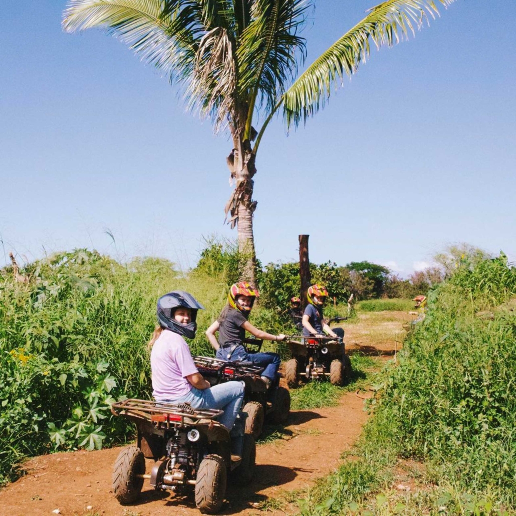 northshorestables atv rides and farm group slide