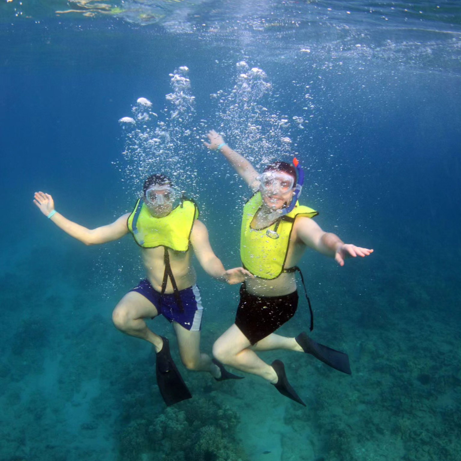 ocean joy cruises sunset snorkel