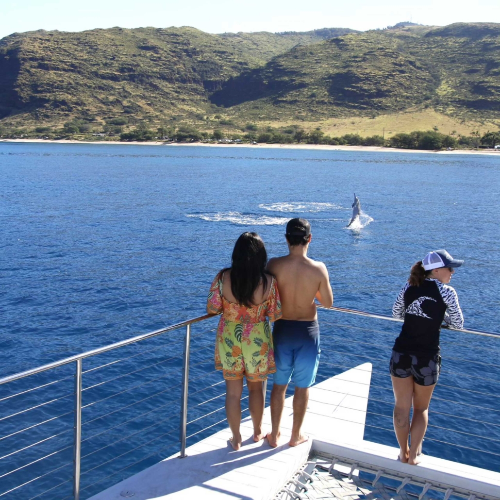 oceanjoycruises morning afternoon waianae snorkel cruise watching dolphins
